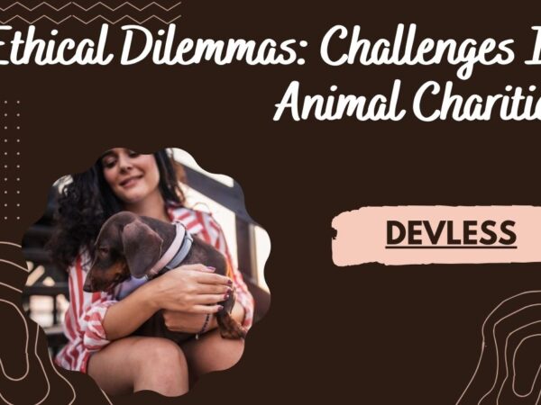 Challenges In Animal Charities